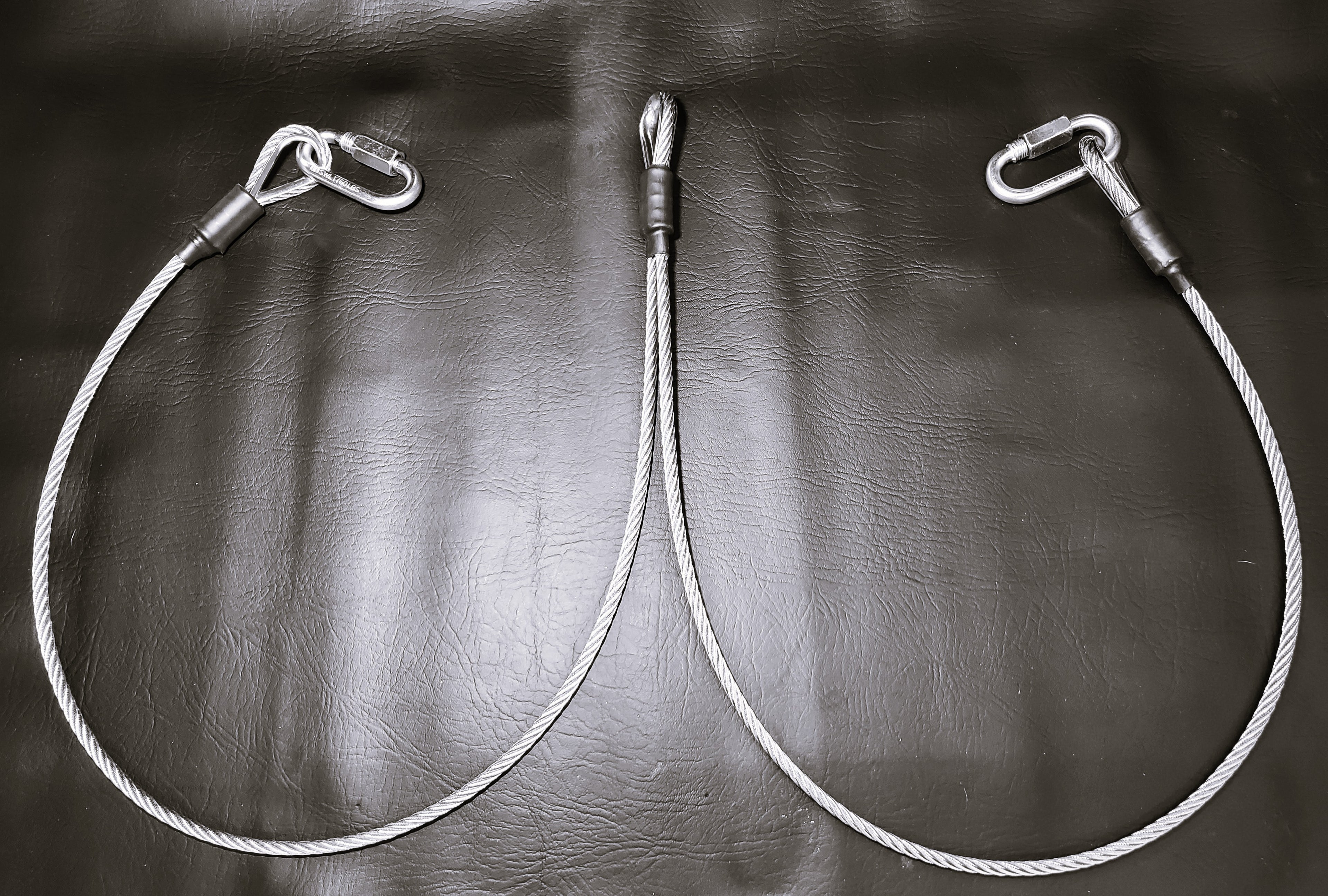 Pet Restraint Tether